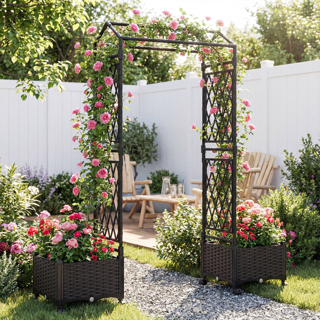 162cm H x 80cm W Expanding Trellis