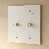White with Brass - 2 Gang est en rupture de stock