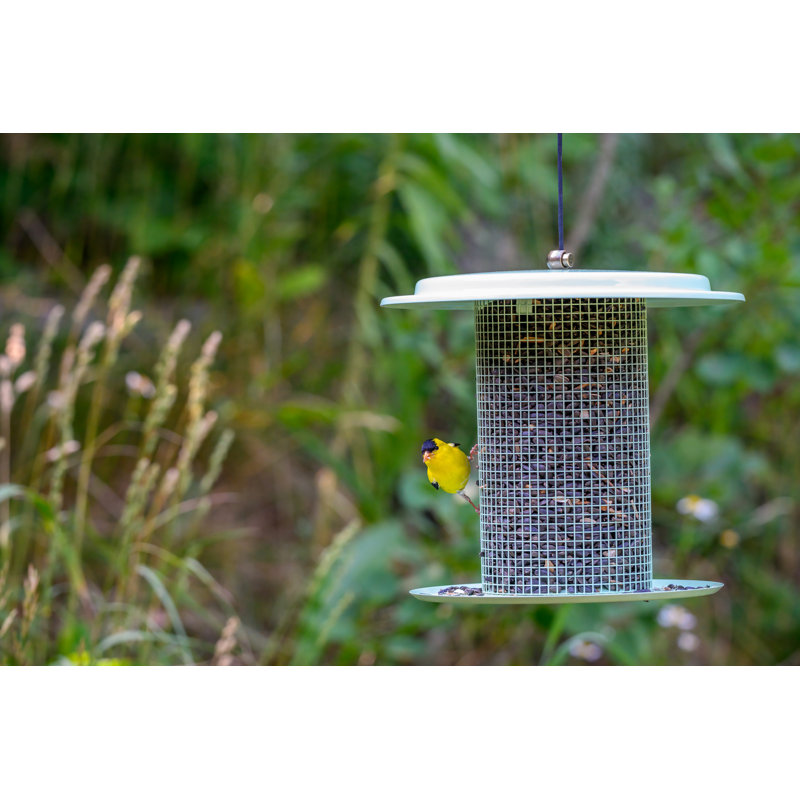 Sage Green Metal Hanging Tube Bird Feeder, 9.5 Inches