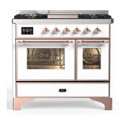 ILVE Majestic III Series 40 in. Dual Fuel Range with 6 Sealed Burners, Griddle (Natural Gas, Glass Door)