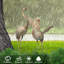 Alyea Animals Figurines & Sculptures