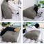 Cushion-1757897062-1757897065
