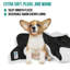 Couverture en polyester Premium Puppy-1573251106