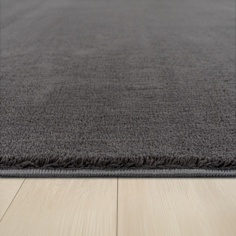 Tapis doux, doux, à poils courts, antidérapant, de couleur unie, lavable, Rectangle 2 pi x 3 pi 3 po, Gris clair
