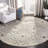 Avira Ikat Light Gray Area Rug-32706436