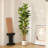 Adcock  Artificial Fiddle Leaf Fig Tree with Realistic Leaves and Natural Trunk, Potted Tree-212896211