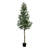 13ft. Artificial Olive Tree