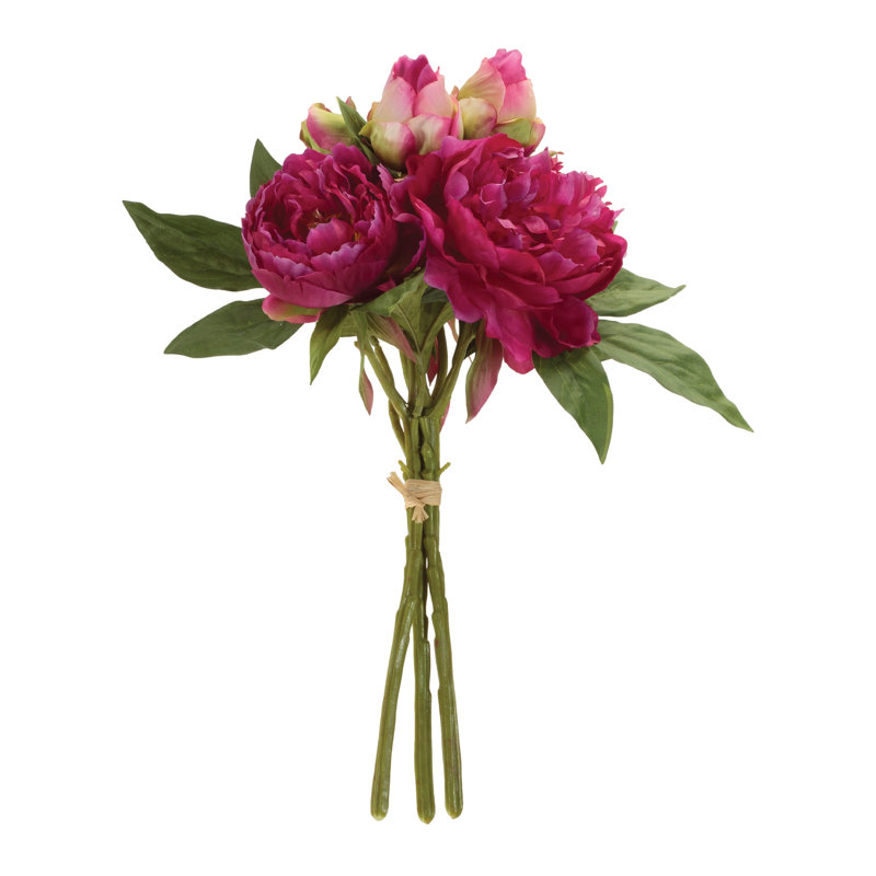 Ensemble de pivoines florales, Rouge