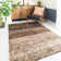 Digrazia Striped Shag Area Rug