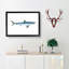 Porbeagle Shark by Edward Donovan - Picture Frame Painting Print-55601535-55601539