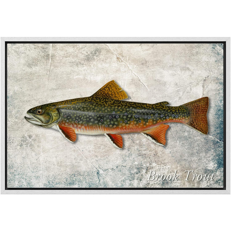 «Trout Fish on Granite Marine Life Animals» sur toile, Cadre blanc, H 24 po x l 36 po
