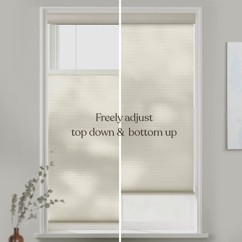  Top Down Bottom Up Cellular Shades, Ivoire ivoire, L 50,5 po x L 24 po