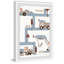 Rose - Picture Graphic Art-2009181356