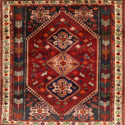 Oriental Indoor Rug