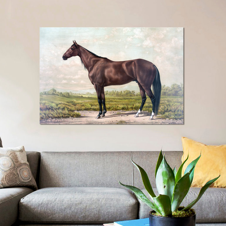 « cheval i », impression sur toile, H 12 po x l 18 po x P 1,5 po, Pas de tapis, Toile tendue