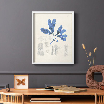 Blue Marine Algae VII, reproduction encadrée - bois massif