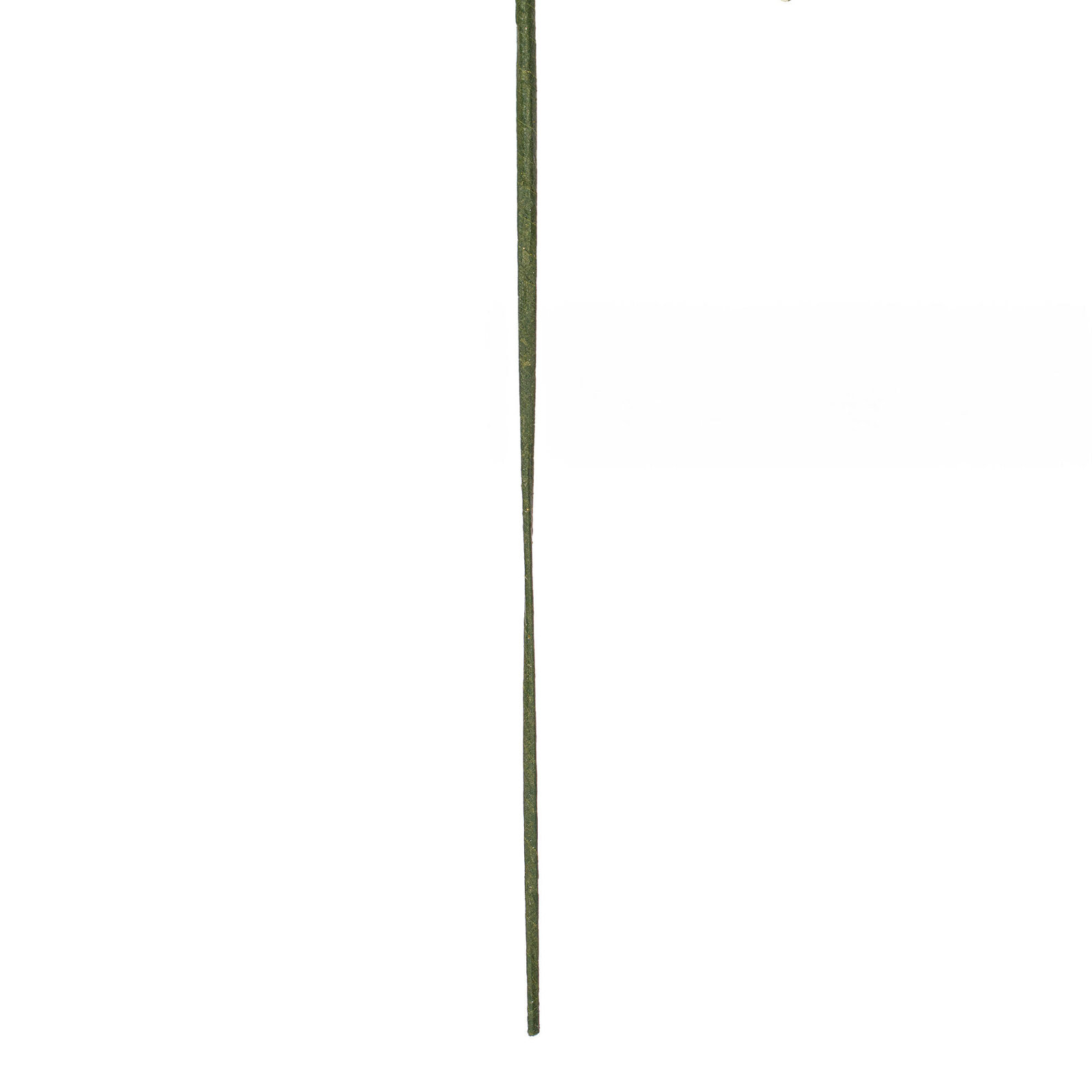 Olive Leaf Floral Stems