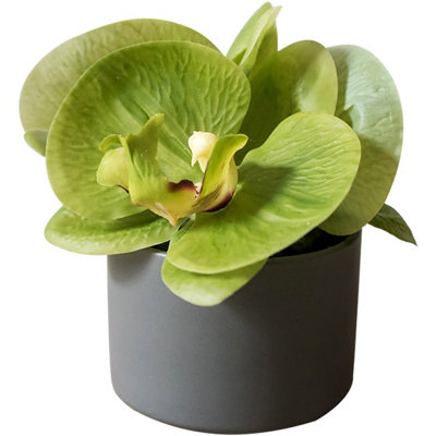 PEVA Orchids Arrangement in Pot