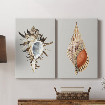 Black Murex-Premium Gallery Wrapped Canvas -Ready to Hang