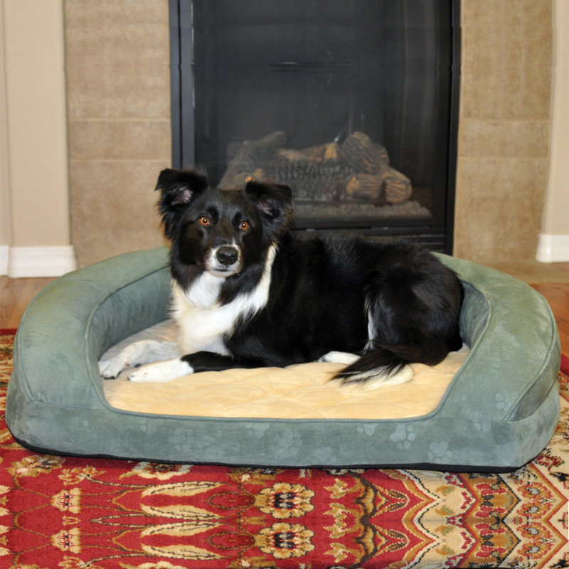 Lit-lit pour chien deluxe ortho, Petit (l 20 po x P 20 po x H 8 po), Vert