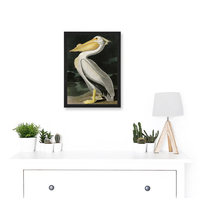 Audubon Birds White Pelican Painting Nature Animals - Single Picture Frame Painting, 32.3cm H x 23.4cm W x 1.5cm D