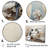 " Penguins Antarctic Elegance V "-1561774562-1561774565