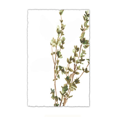 Earthtone Herbs II by June Erica Vess - Painting