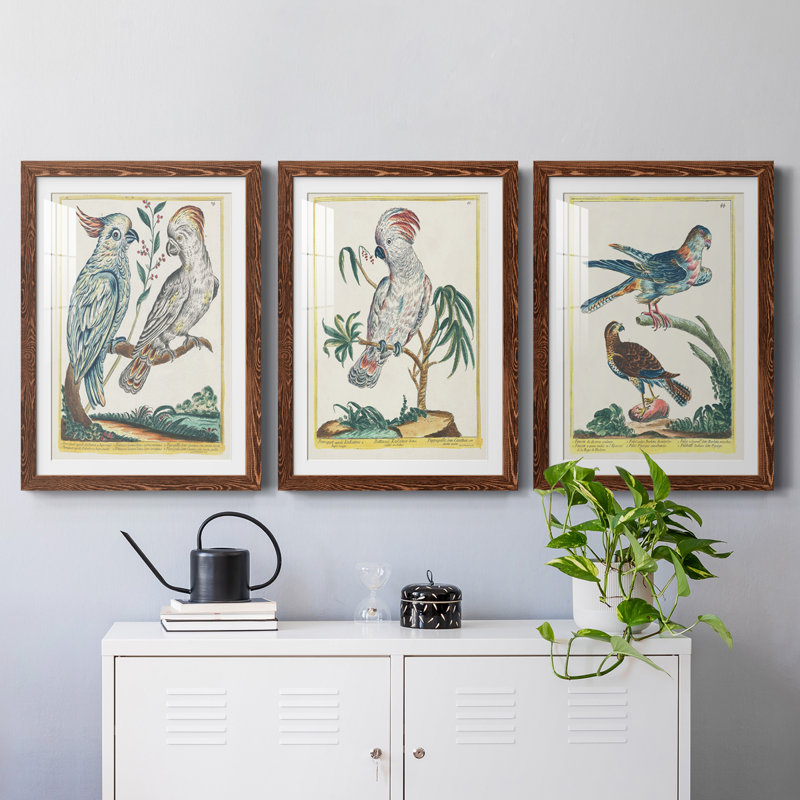 Pastel Birds I Premium encadré mat - prêt à être accroché, H 37,5 po x l 82,5 po x P 1,5 po, Érable