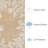 Vogt Hand-Tufted Indoor / Outdoor Area Rug -754315805