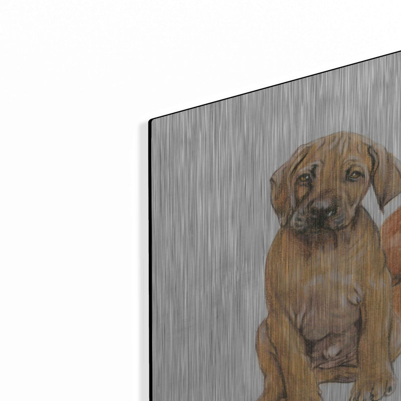 «Rhodisian Ridgeback Puppies» par Barbara Keith, H 12 po x l 36 po