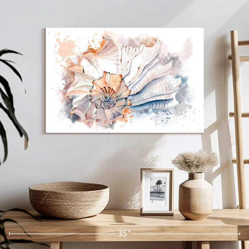 Nautilus seashell splash Aletra, H 16 po x l 24 po