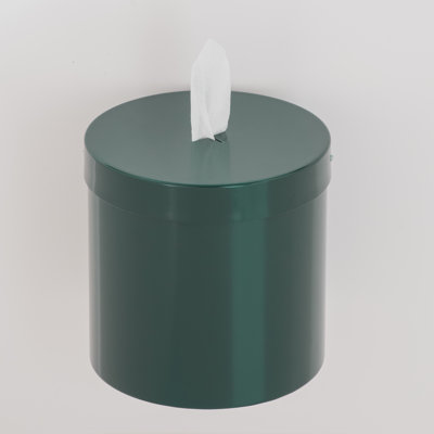 Wall Mounted Paper Towel Dispenser