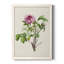 «Pretty Pink Botanicals V», reproduction sur toile encadrée-424888224-424888254