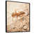 Black Floater Framed