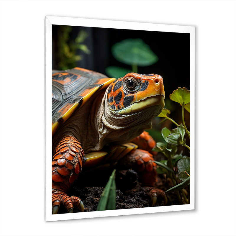 Gros plan sur une tortue vibrante, H 20 po x l 12 po x P 1 po, Cadre simple blanc