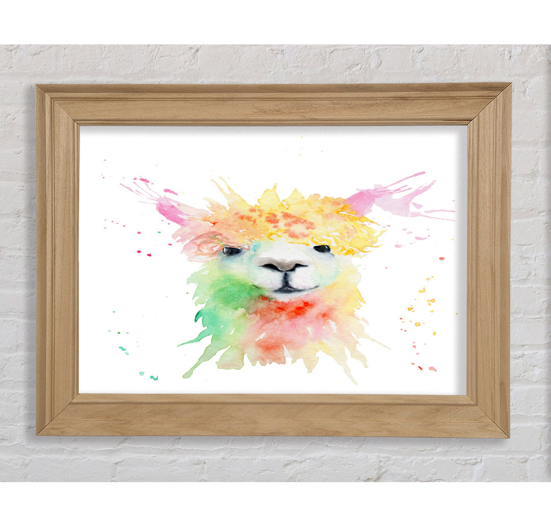 Splatter Colour Alpaca - Einzelner Bilderrahmen Kunstdrucke