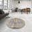 Oriental Indoor Rug-202825197