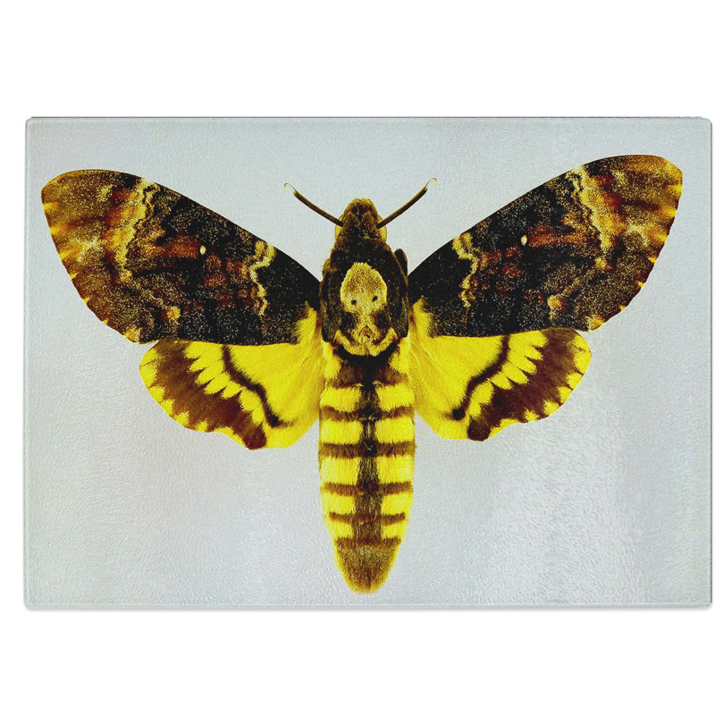 Tempered Glass Deathshead Moth Chopping Board, 39 cm W x 28.5 cm L