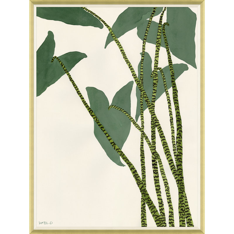 Caladium Giclee Print by Susan Hable