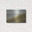 «Beach Grass I» par Irene ThisCocki-546193835