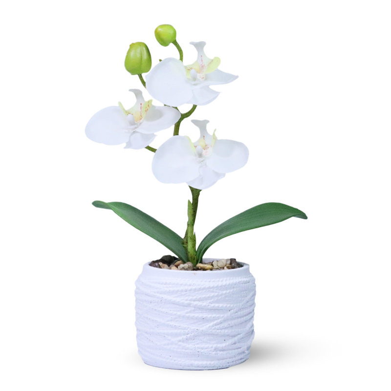 Petite plante artificielle orchidée rose d'intérieur, 9 pouces, 3 cm, Blanc, Blanc