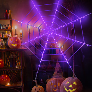 https://assets.wfcdn.com/im/29576387/resize-h310-w310%5Ecompr-r85/2155/215550806/light-emitting-spider-web.jpg