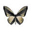 Radioactive Butterfly I Print by Mari Urasawa-26931594-26931597