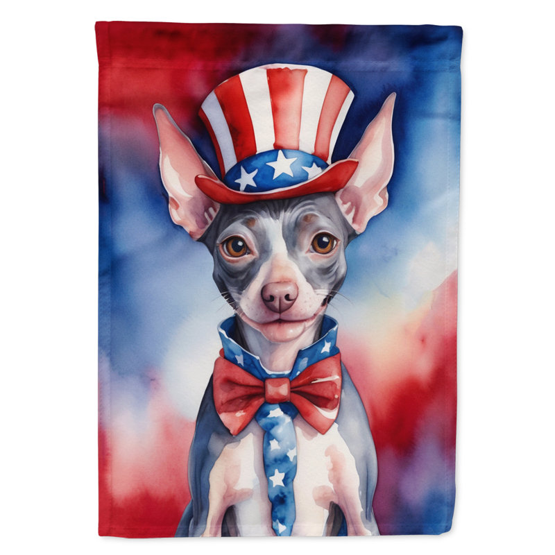 Drapeau patriotique du jardin américain, Terrier américain sans poil