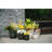 Colorful Ceramic Flowerpot-1993912159