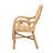 Chaniya 25.2'' Wide Rattan Armchair
