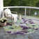 Machine Washable Indoor/Outdoor Claudian ACN1485 Purple Rug