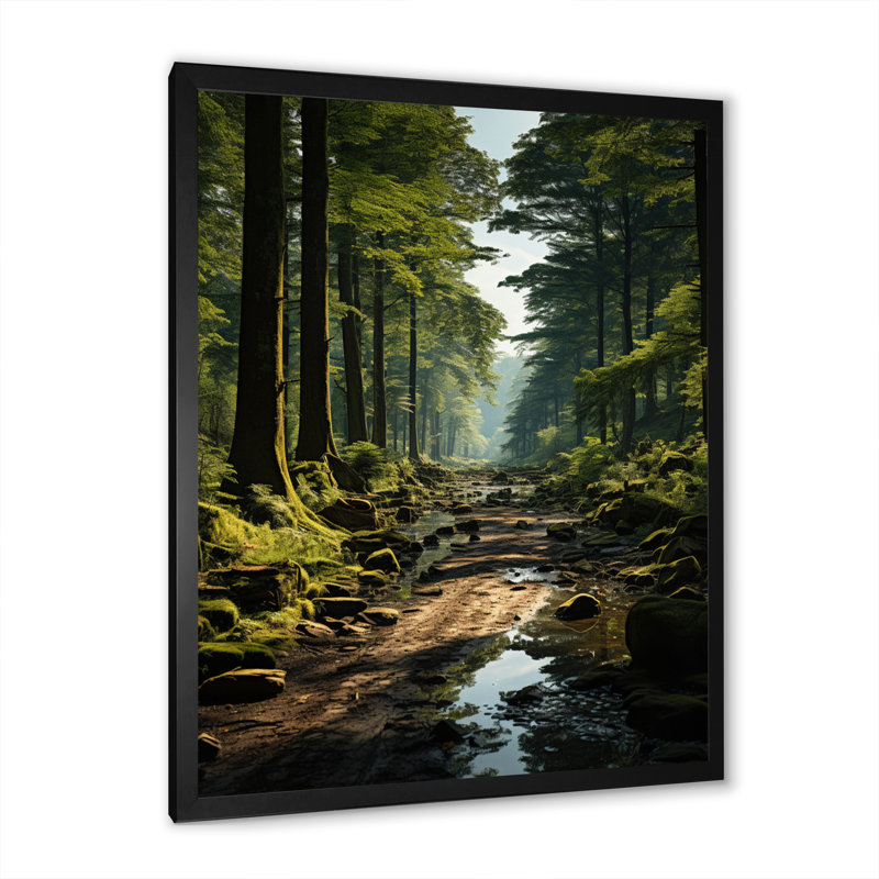 «Forest Enchanted Woods Earthy», impressions sur toile, H 44 po x l 34 po x P 1,5 po, Cadre photo noir