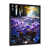 Black Single Picture Framed