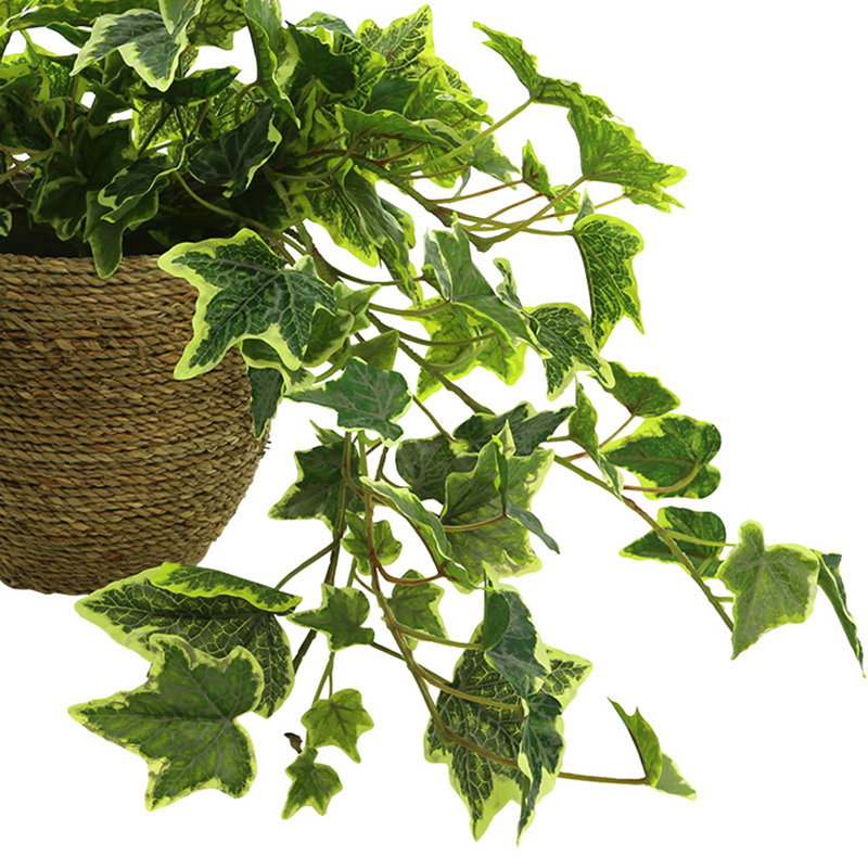 Nunn Faux Ivy Plant in Pot, Green/White, 16" H x 29" W x 23" D